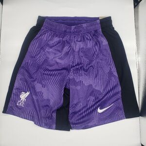 LIVERPOOL FC 2023/24 STADIUM THIRD SOCCER SHORTS MENS NIKE DRI-FIT
